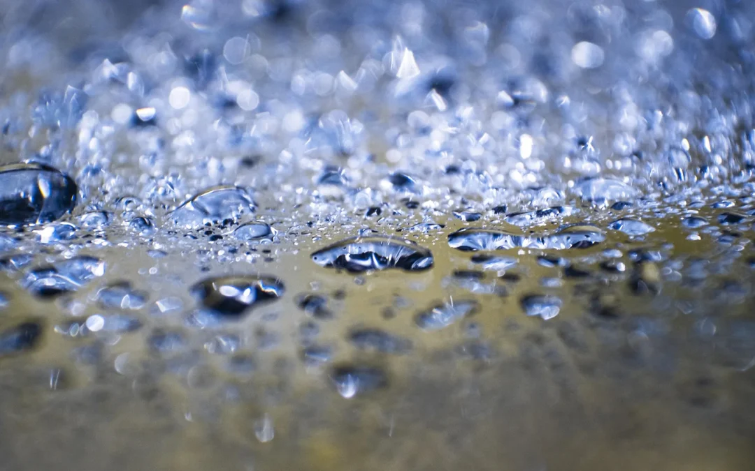 Les différentes façons d&rsquo;utiliser l&rsquo;eau de pluie récupérée dans le Tarn, de l&rsquo;arrosage au nettoyage des surfaces